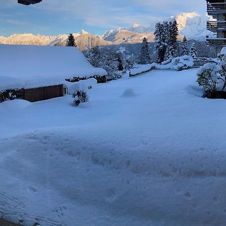 La Marmotte: Vue Mont Blanc, Terrasse, Parking Lejlighed Combloux Eksteriør billede