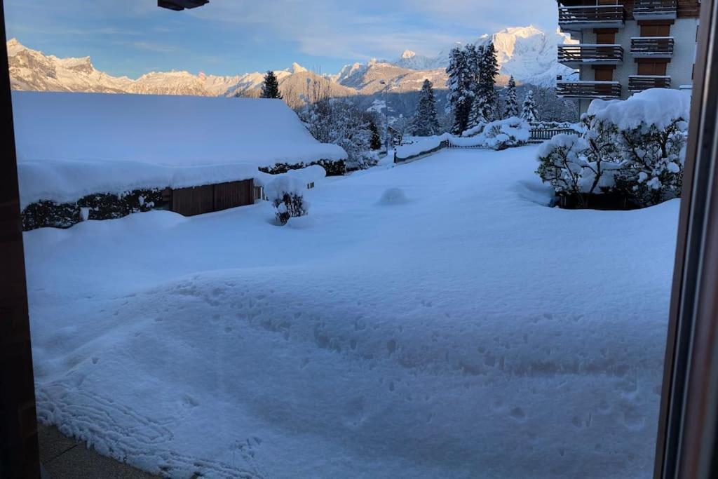 La Marmotte: Vue Mont Blanc, Terrasse, Parking Lejlighed Combloux Eksteriør billede