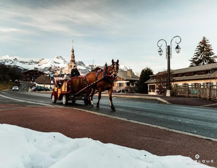 La Marmotte: Vue Mont Blanc, Terrasse, Parking Lejlighed Combloux Eksteriør billede